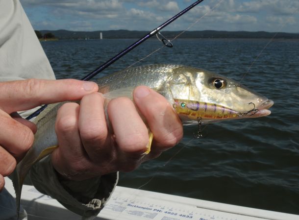 TESTED: Saku Snoop Pop